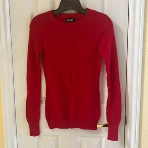 NWOT Express Sweater